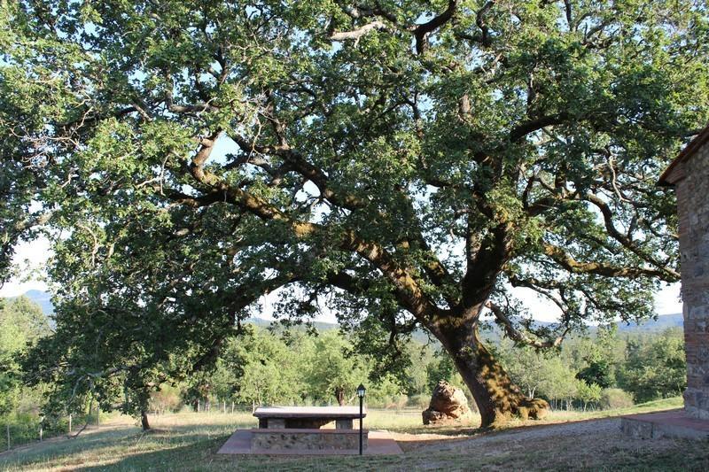 Agriturismo La Quercia Boccheggiano المظهر الخارجي الصورة